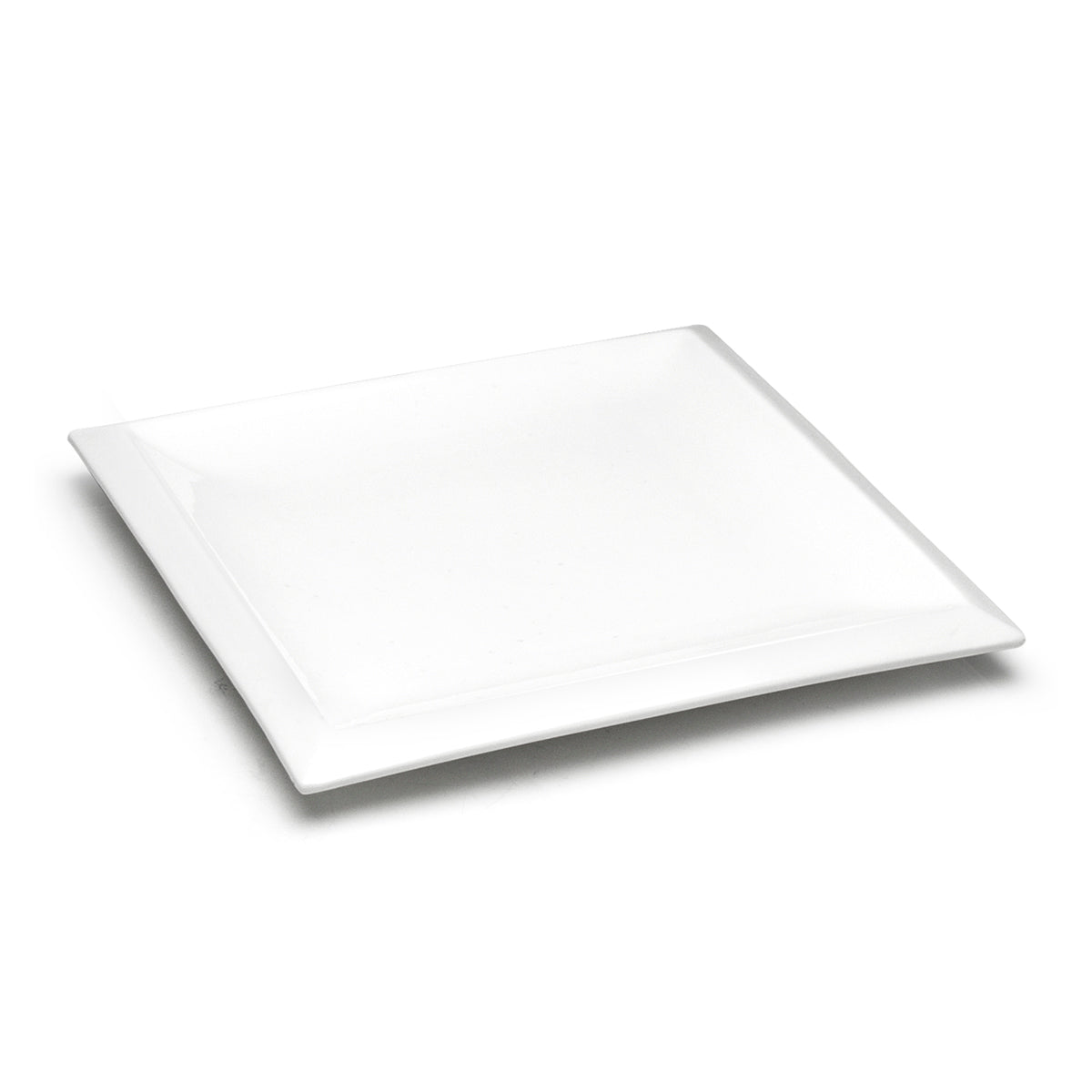 食器 e Condo Aretware plate Vintage White Restaurantware Platter Greenwood China Trenton