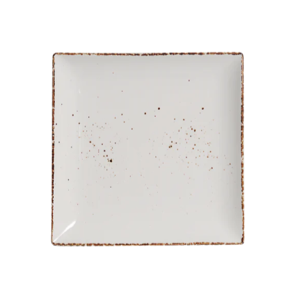 10’’ Square Plate Splash Blanch
