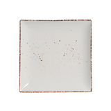 10’’ Square Plate Splash Blanch