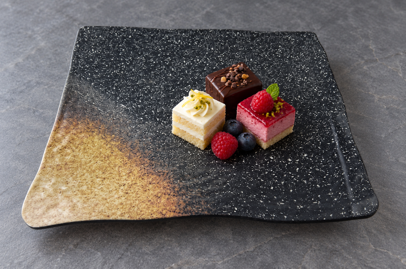 YG-4216SP square melamine serving plate with small cakes and berries