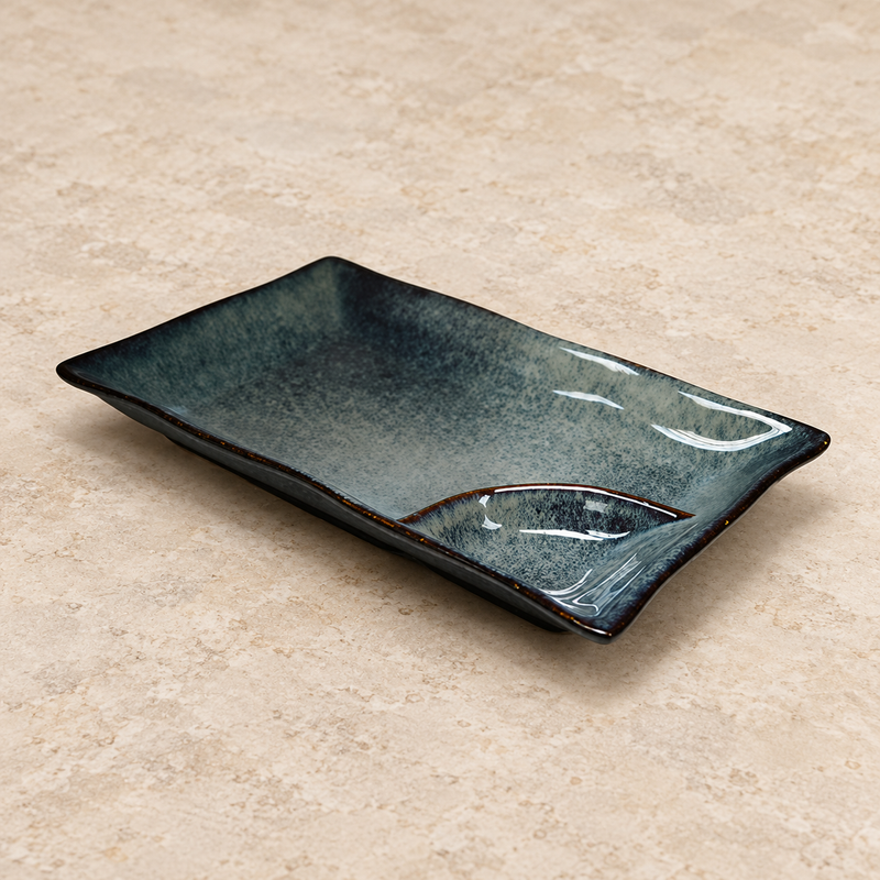 10" × 6" Obsidian Ceramic Divided Rectangular Plate — Food and Sauce, Together