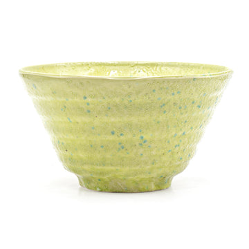 Japanese Ramen Bowl