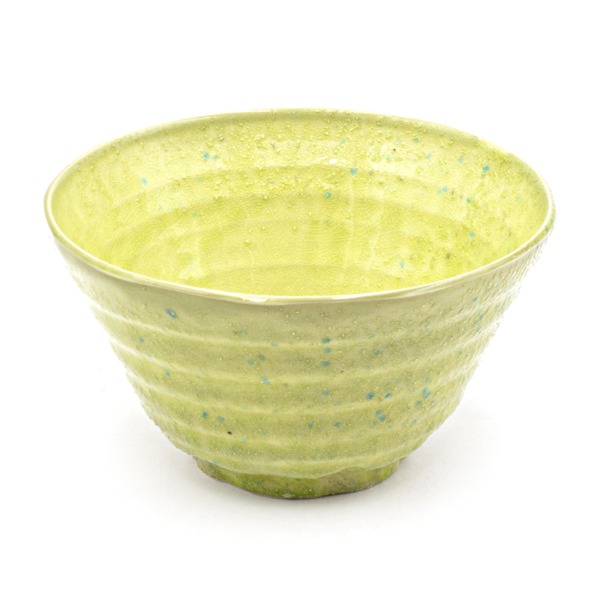 Japanese Ramen Bowl