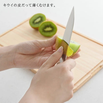 FRUIT KNIFE (0349-467)