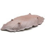 16" x 7" Leaf Ceramic Serving Platter, Black, Brown