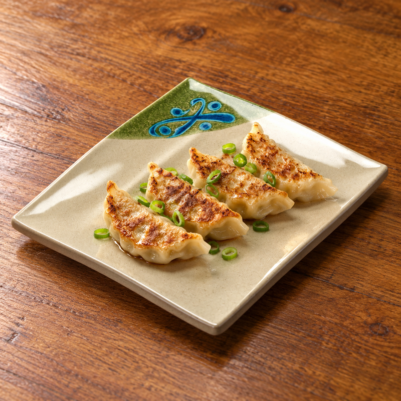 Pan-fried dumplings with scallions on the 508-M plate