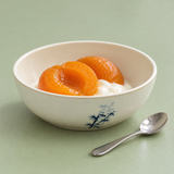 605B-BZ Apricot and yogurt dessert