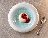 BK-3082 IceIsland porcelain bowl with panna cotta and berry sauce