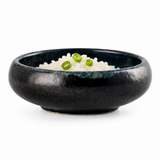 SeaStone 6-inch bowl with a small portion of rice and scallions