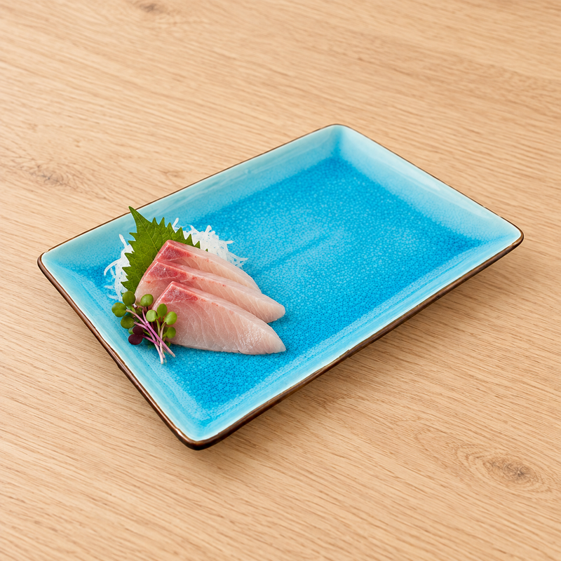 FB241 turquoise rectangular plate with sashimi