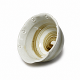 Ceramic Bowl — 5 fl. oz., Tilted spiral-interior view
