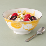 Ceramic Bowl — 16 fl. oz., Berry dairy dessert service
