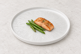 YG-8010NG with salmon and green beans