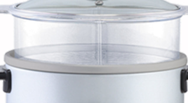 Panasonic SR-W10FGE glass lid and steaming-basket detail