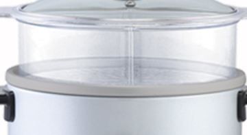 Panasonic SR-W10FGE glass lid and steaming-basket detail