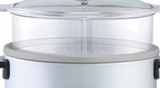 Panasonic SR-W10FGE glass lid and steaming-basket detail