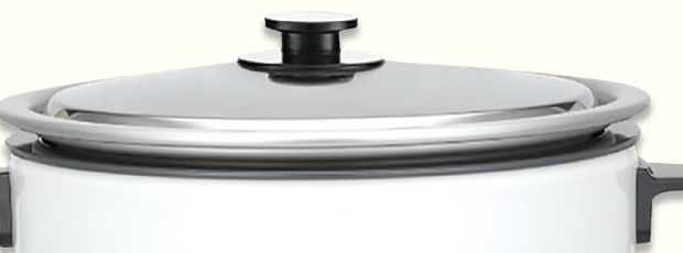 Lid detail from the supplied Panasonic product image