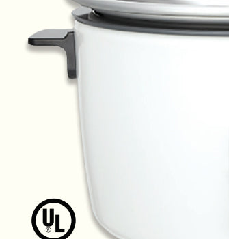 Side-handle and housing detail from the supplied Panasonic product image