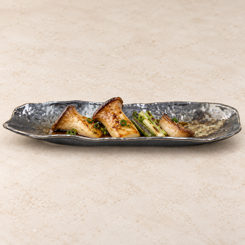 RUR213-S ceramic plate serving dumplings on a light tabletop