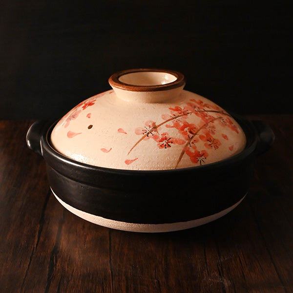 D8-NS donabe presentation
