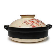Ceramic Donabe Cooking Pot