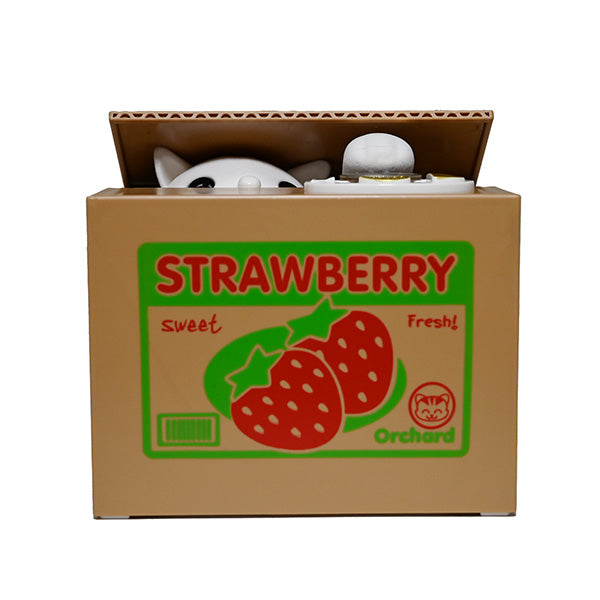 Coin bank (CB1-C)