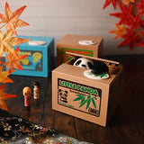 Coin bank (CB1-P)