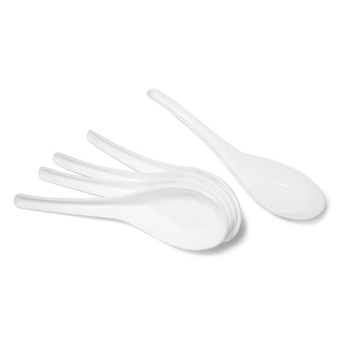 Spoon (K030239)