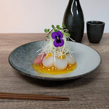 10" Ceramic Plate