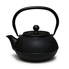 30 oz Black Cast Iron Teapot — Raised-Dot Texture