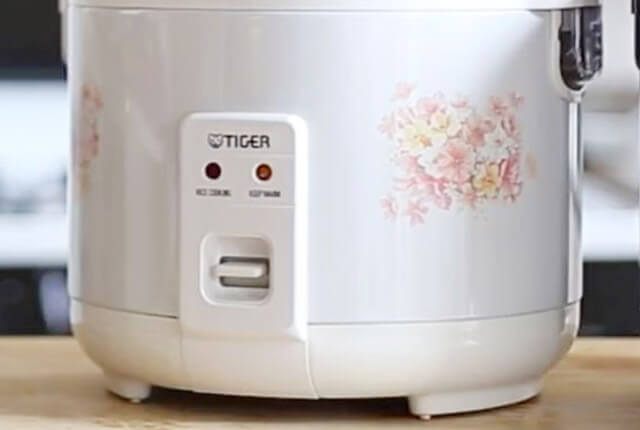 JNP0550-FL — Original manufacturer view of the conventional cooking control