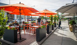 Orange open-back plastic restaurant chair; restaurant setting, other furniture illustrative