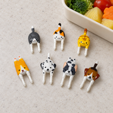 7 cats and dogs food picks arranged for bento preparation