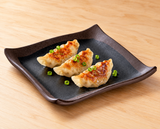 IT-F5105TM Tenmoku square melamine plate serving three gyoza