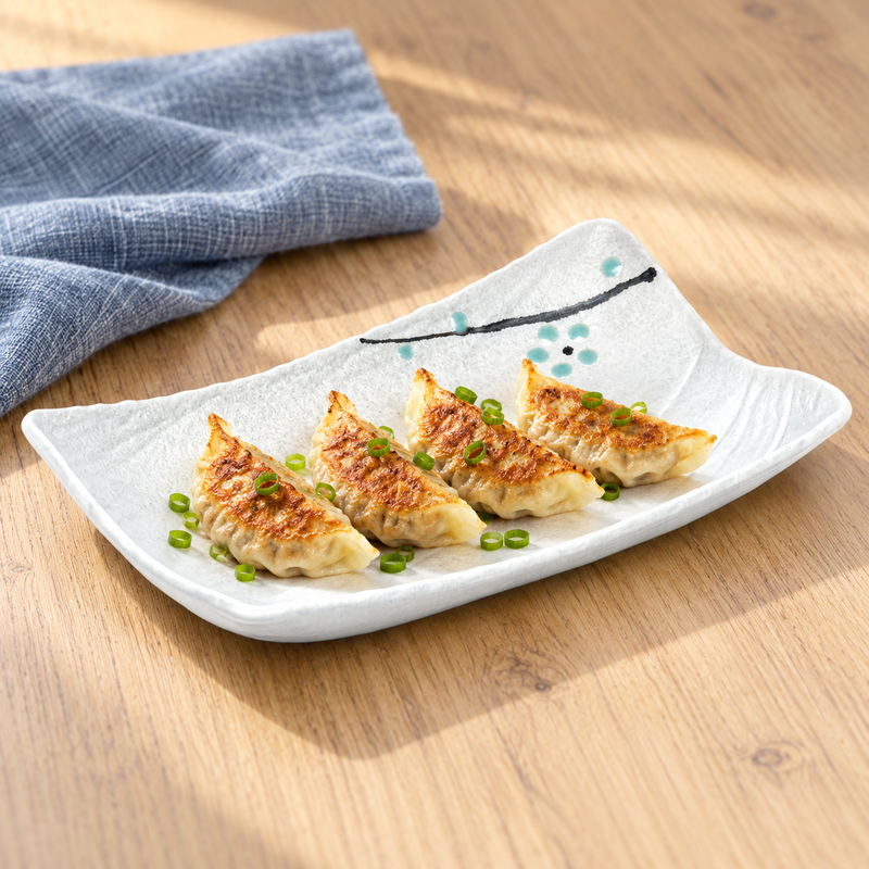 JX211-W with gyoza