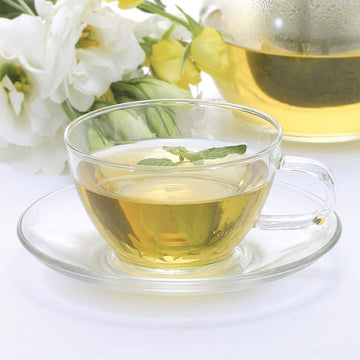 HARIO Glass Tea Cup & Saucer 230ml